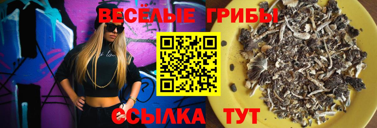 Галлюциногенные грибы GOLDEN TEACHER Фурманов