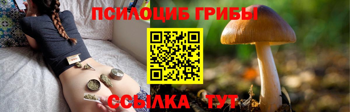 Фурманов  Псилоцибиновые грибы прущие грибы  Вход с VPN 