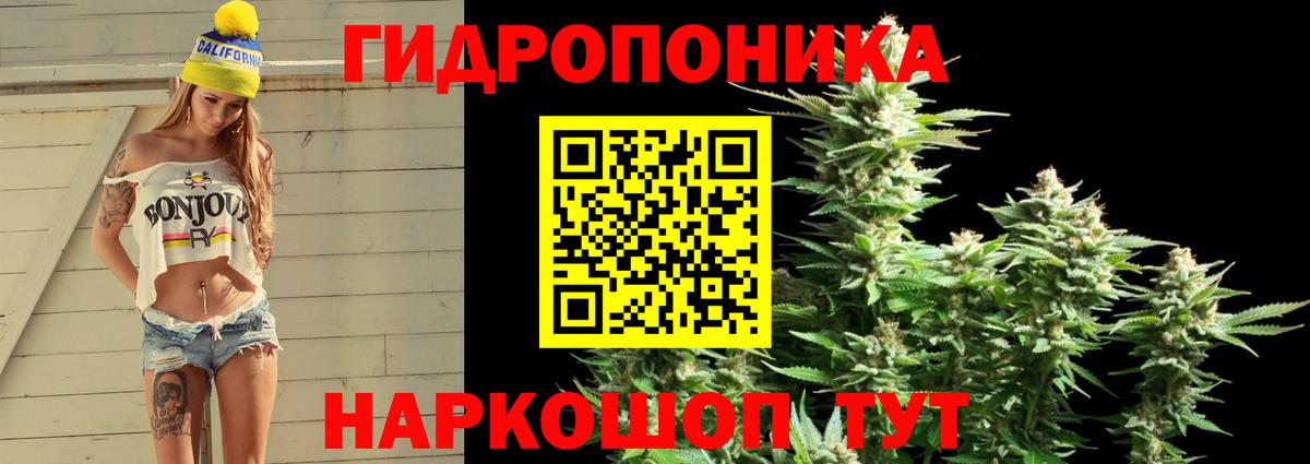 Марихуана планчик  Вход с VPN  Бошки марихуана THC 21%  Бошки марихуана SATIVA & INDICA  Фурманов 